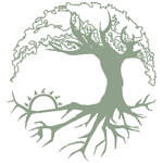 Consolidated Strategy Group, Inc. logo