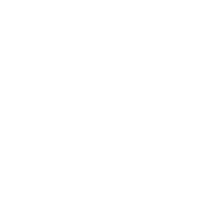 White Dreams logo